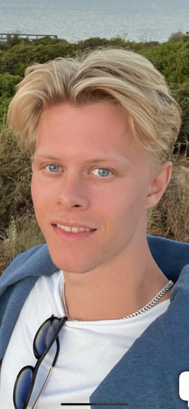 skatingherobanner
