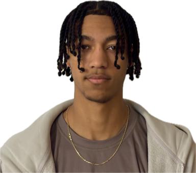 skatingherobanner