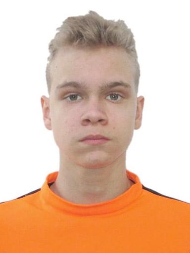 skatingherobanner
