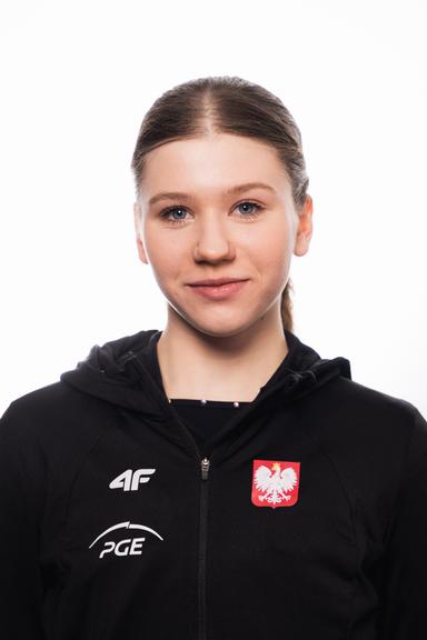 skatingherobanner
