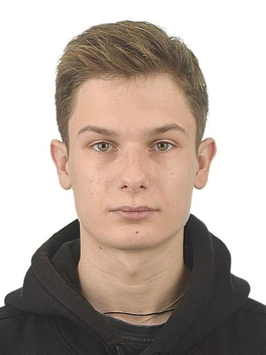 skatingherobanner