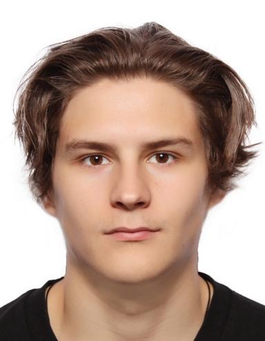 skatingherobanner