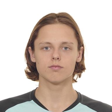 skatingherobanner